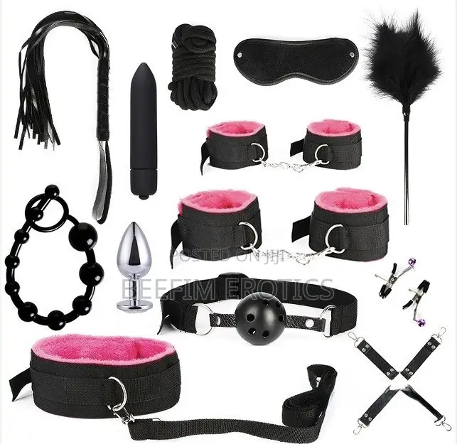 Complete 13 in 1 BDSM Kit With Luxury Storage Suitcase