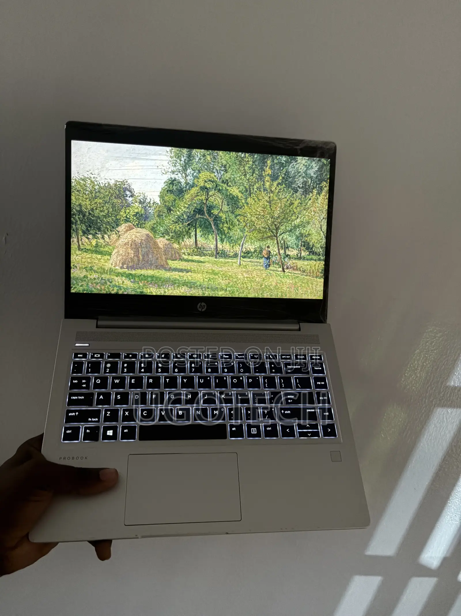 Laptop HP ProBook 445 G7 8GB AMD Ryzen 5 SSD 256GB