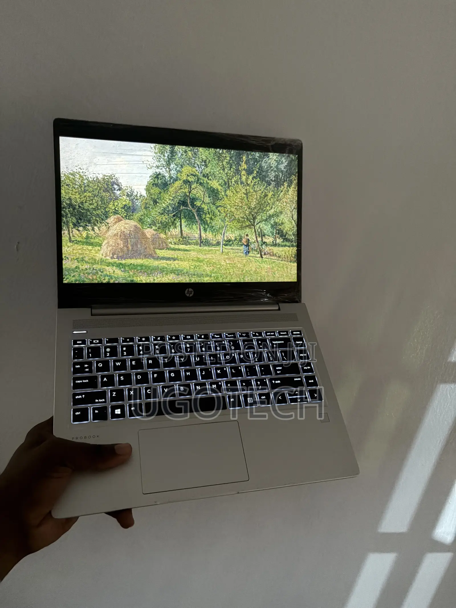 Laptop HP ProBook 445 G7 8GB AMD Ryzen 5 SSD 256GB