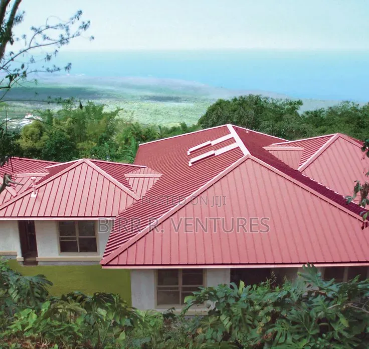 Steel Roof Construction Work