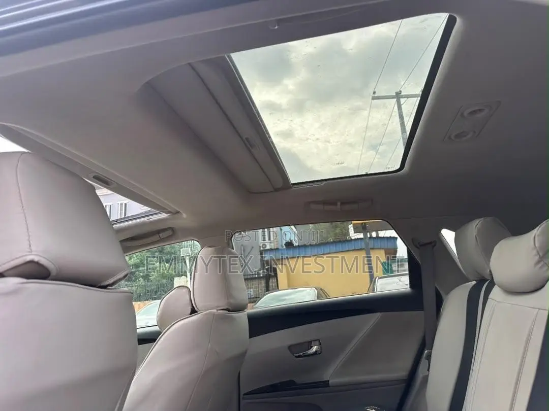 Toyota Venza 2010 Gray