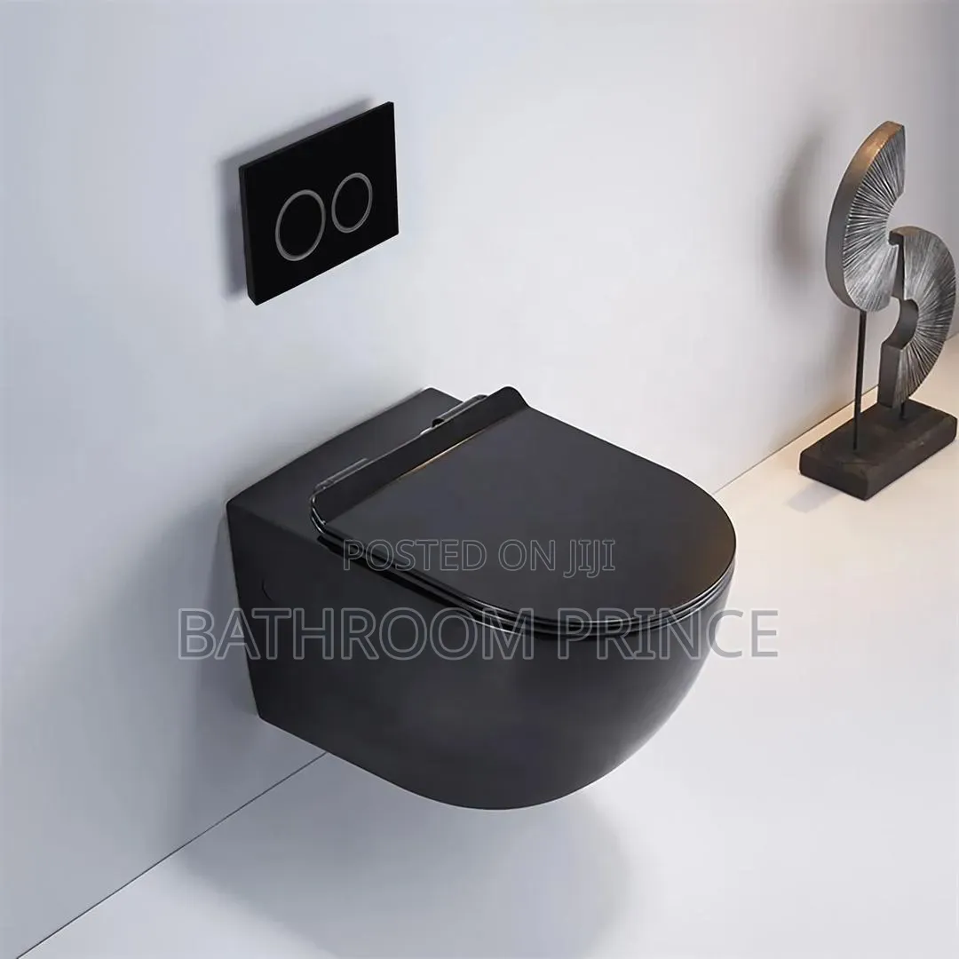Exclusive Black Conceal Water Closet