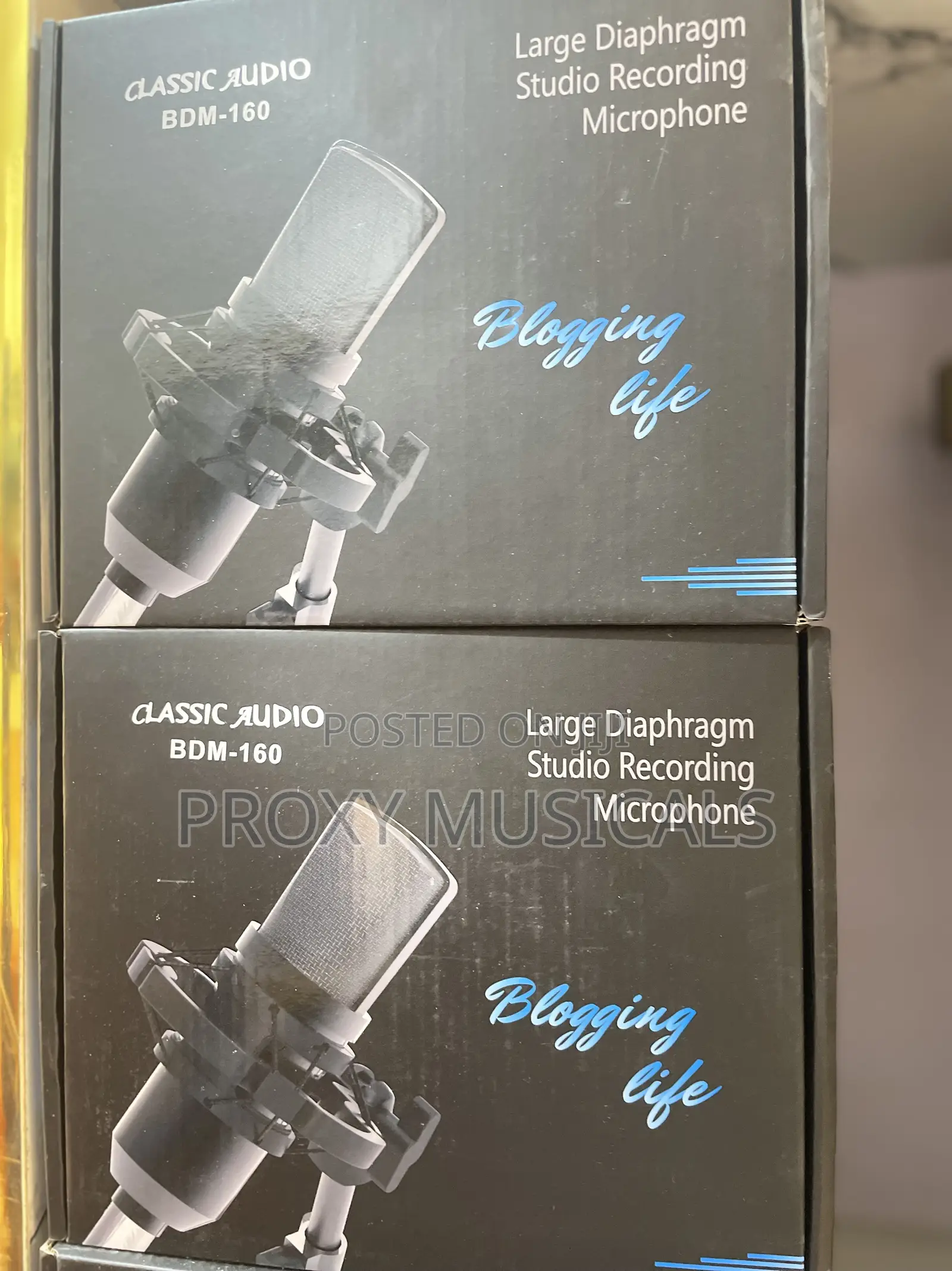 Classic Audio Large Diaphragm Studio Recording Microphone