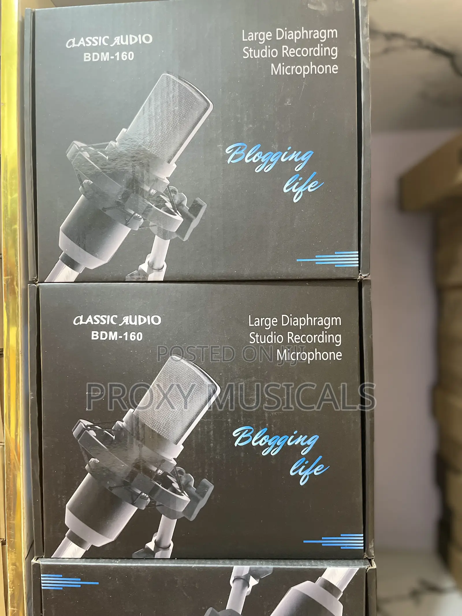 Classic Audio Large Diaphragm Studio Recording Microphone