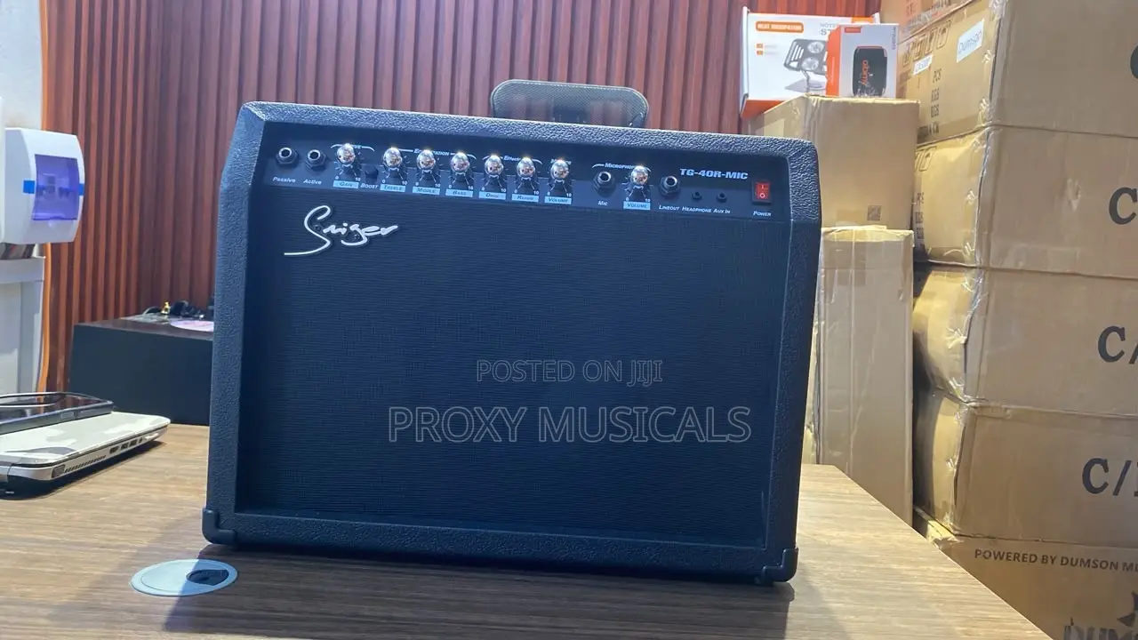 Smiger Tg-40gr-Mic 40w Guitar Combo Amplifier With Mic Input