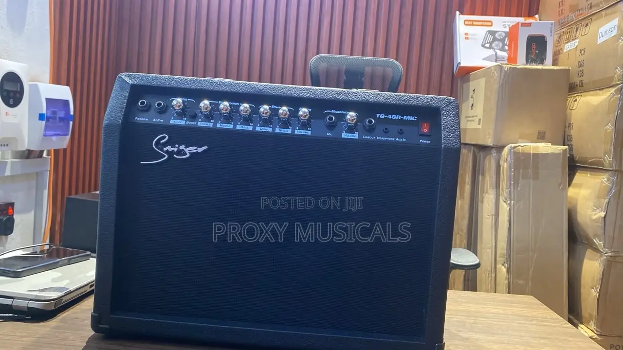 Smiger Tg-40gr-Mic 40w Guitar Combo Amplifier With Mic Input