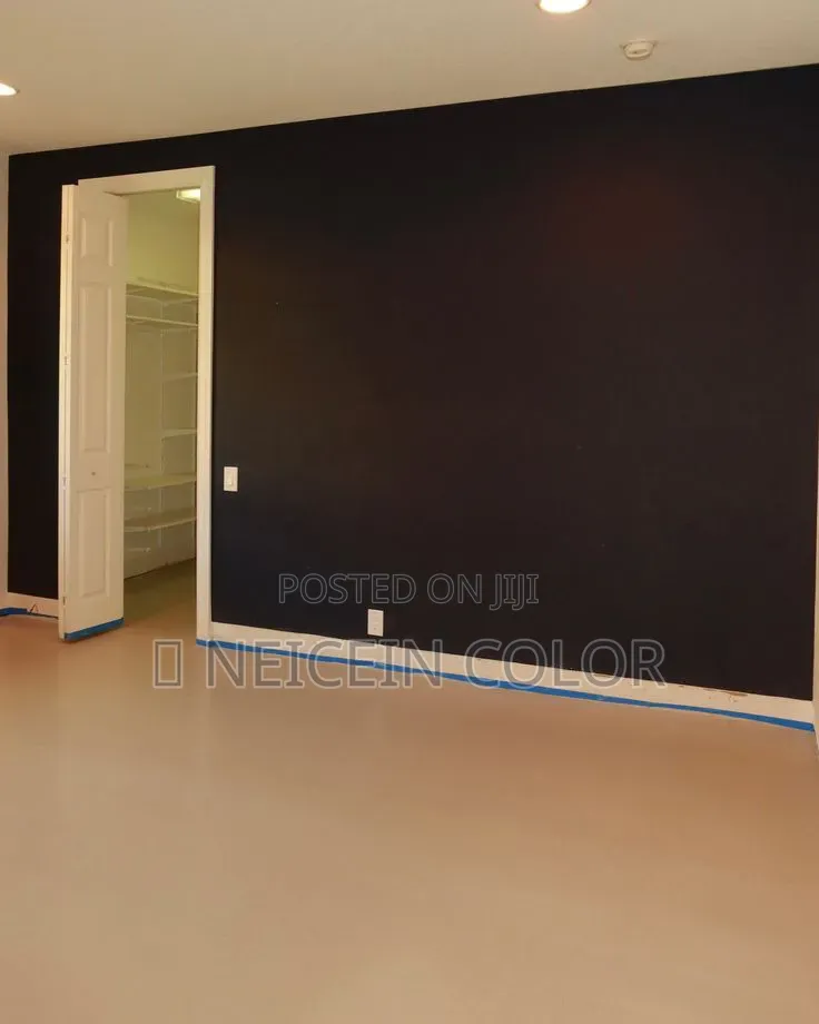 Painter Lifecamp