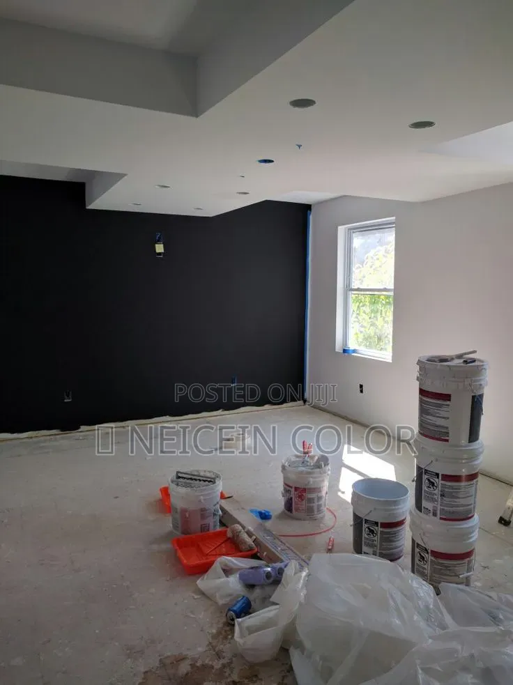 Painter Lifecamp