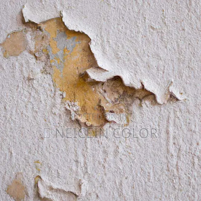 Painter Area 1