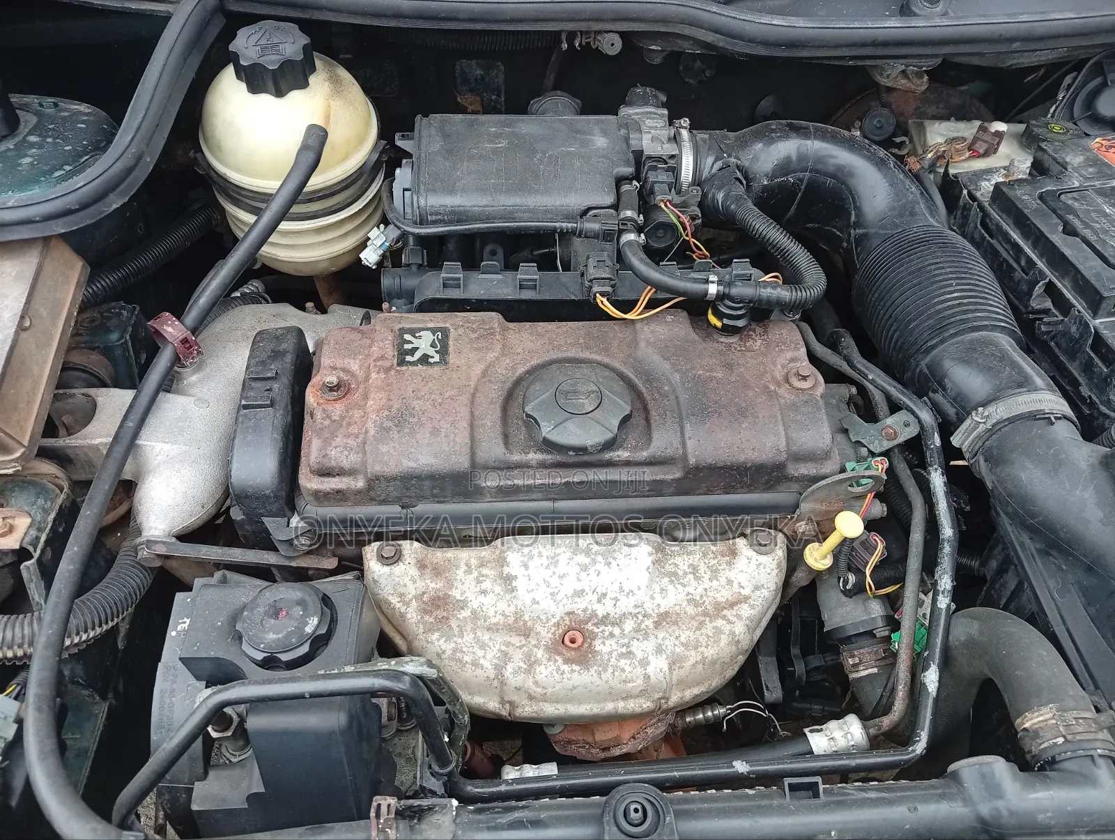 Peugeot 206 CC 2004 Green