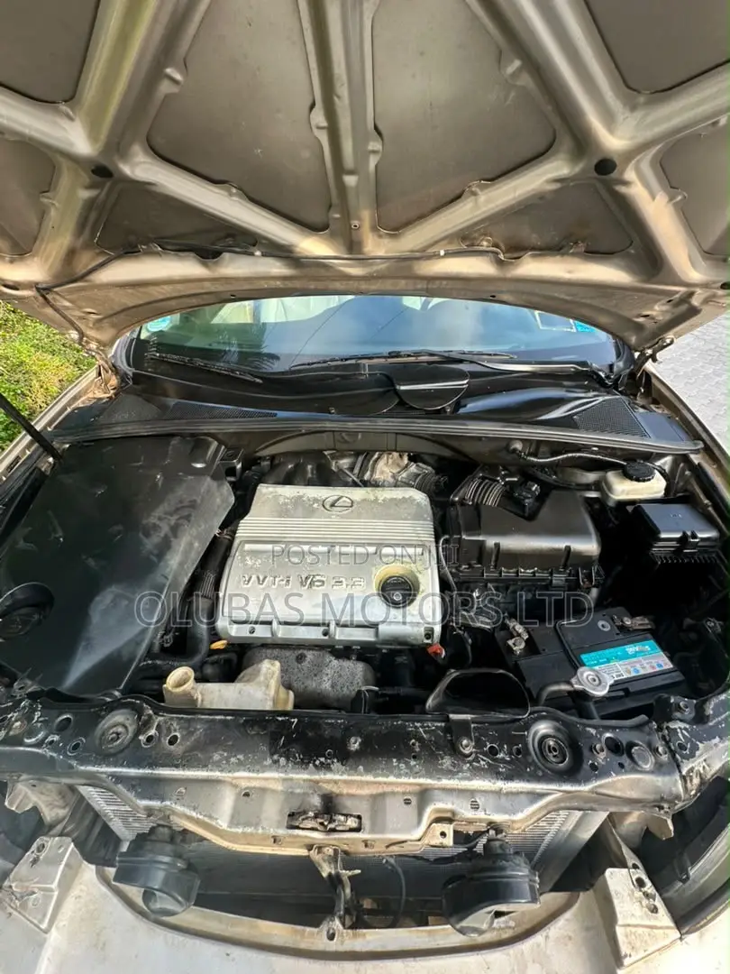 Lexus RX 330 2004 Gold