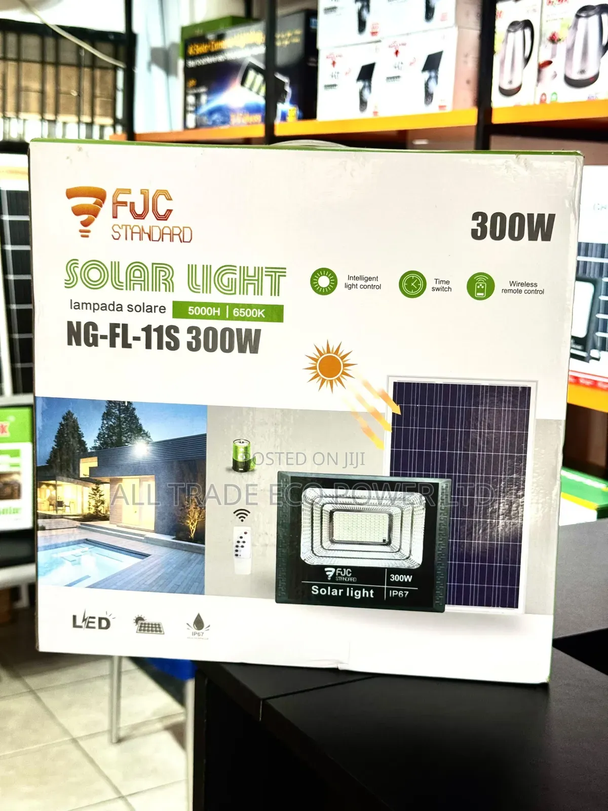 FJC 300w Solar Floodlight