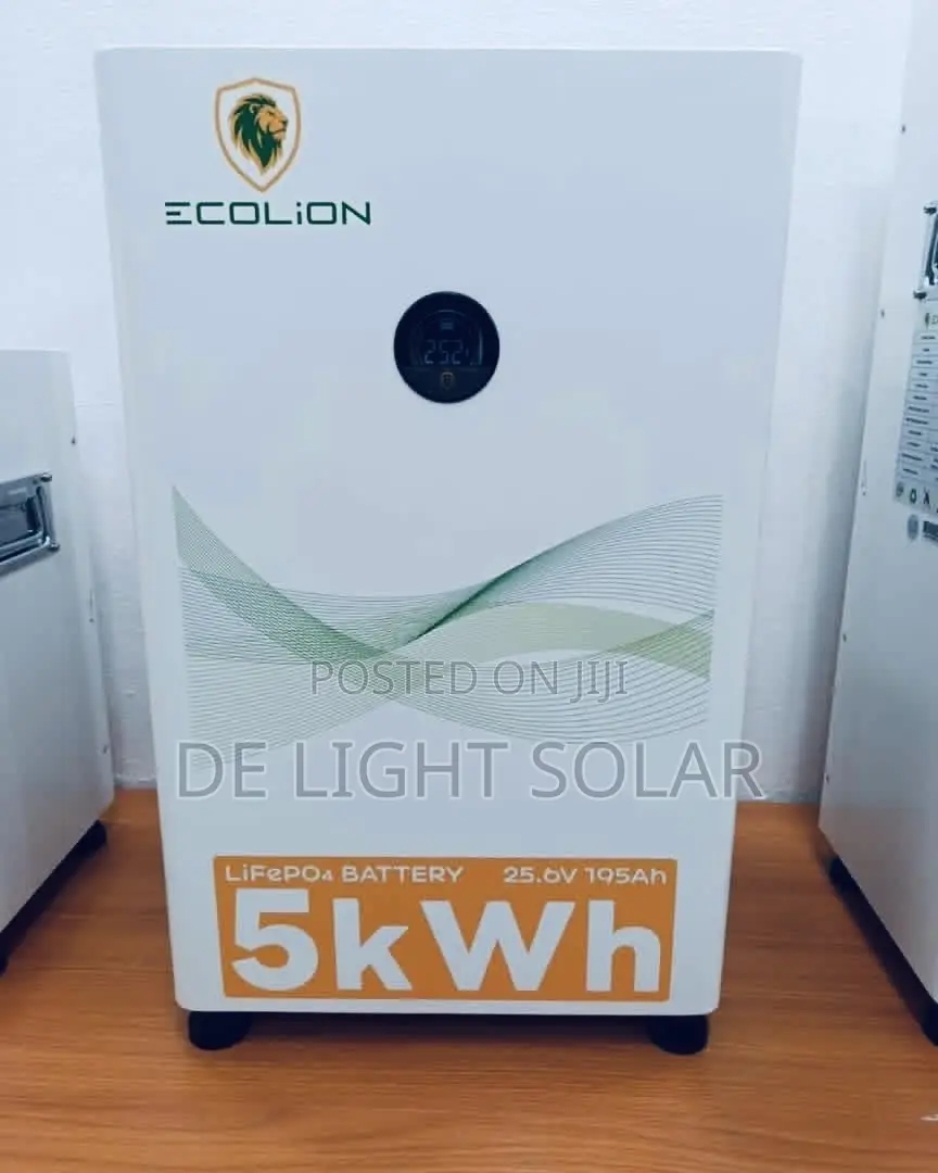 5kwh 24v Ecolion Lithium Battery