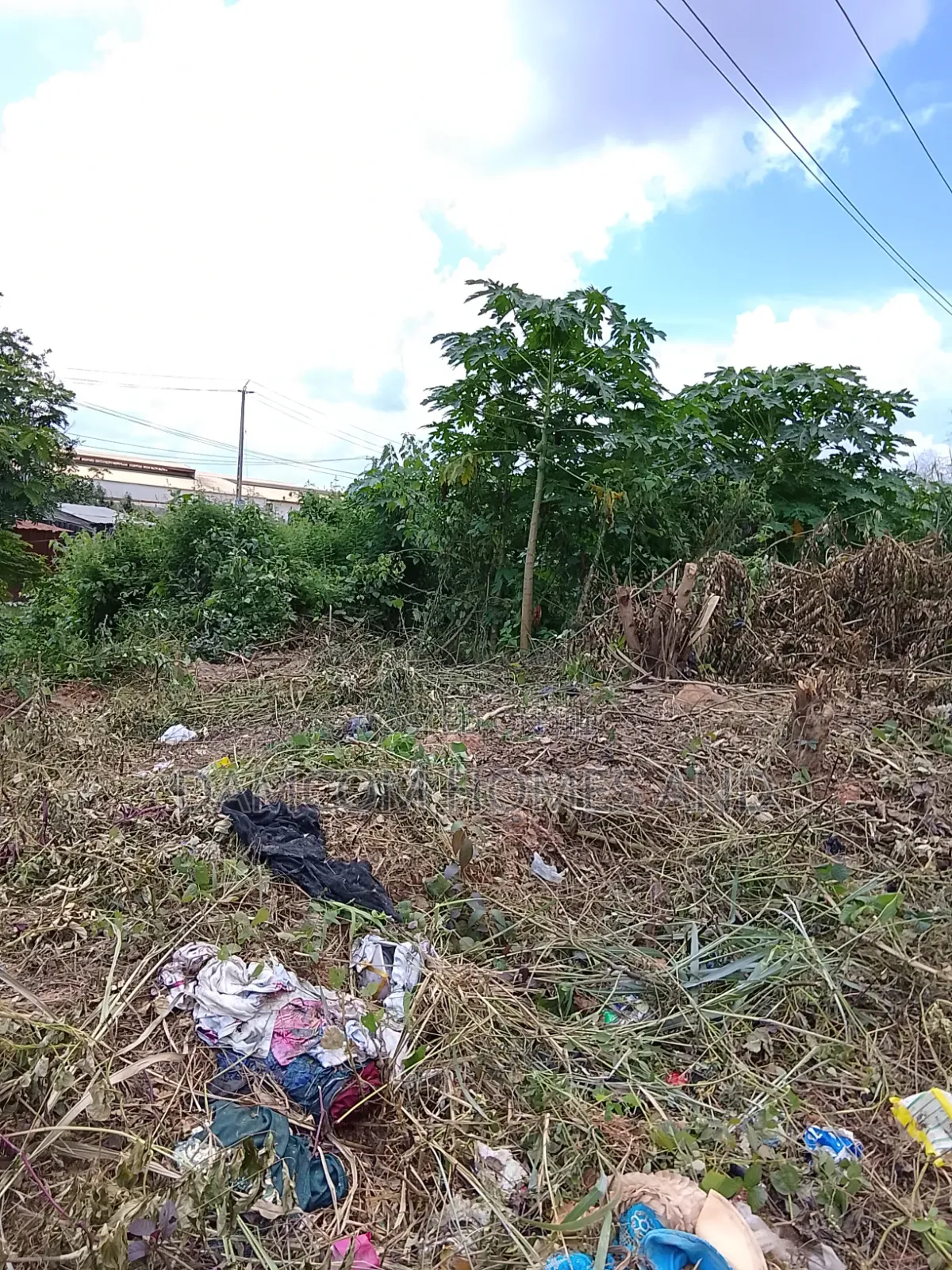 Prime Road Side Land for Sale in Apata