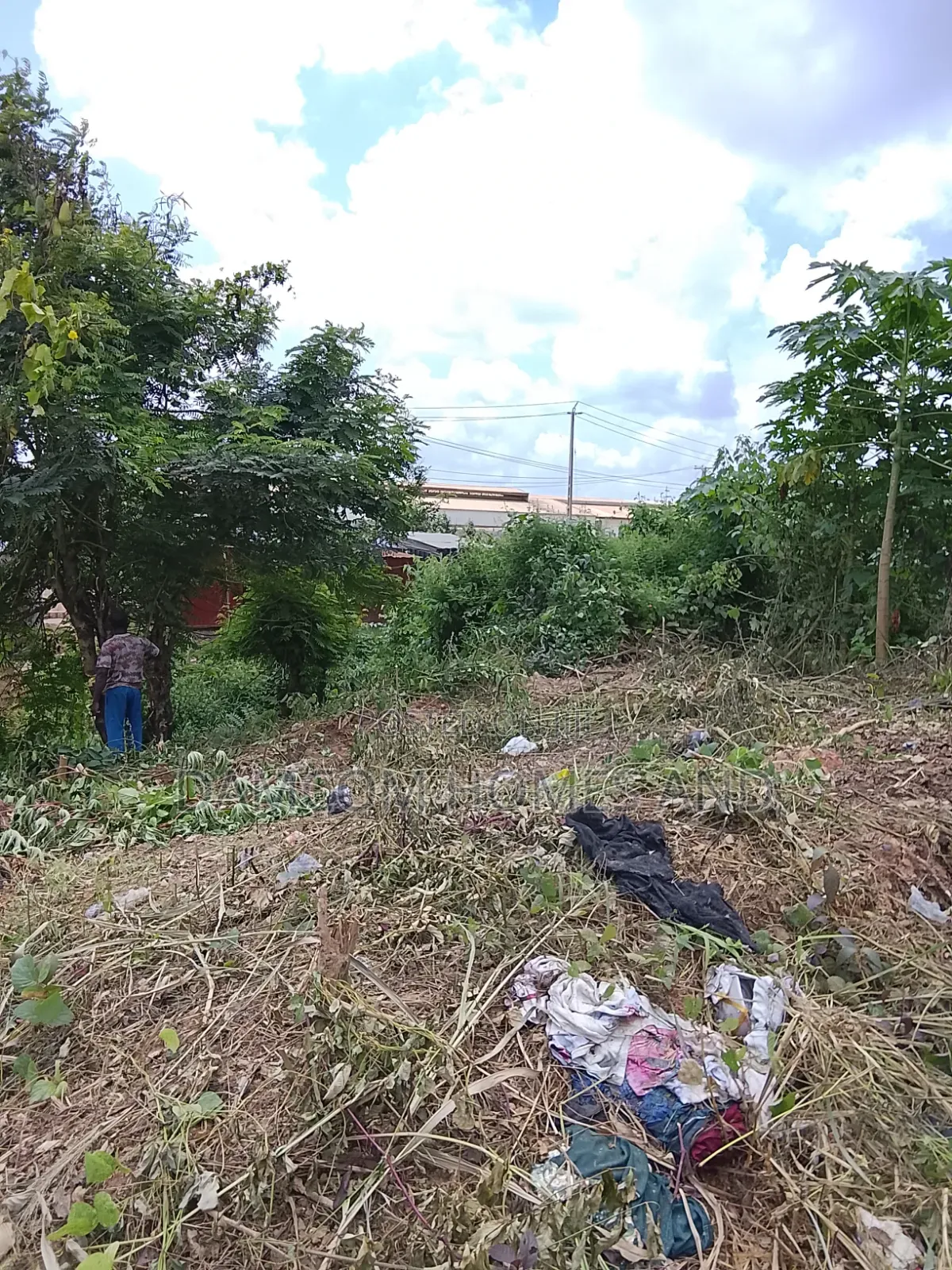 Prime Road Side Land for Sale in Apata