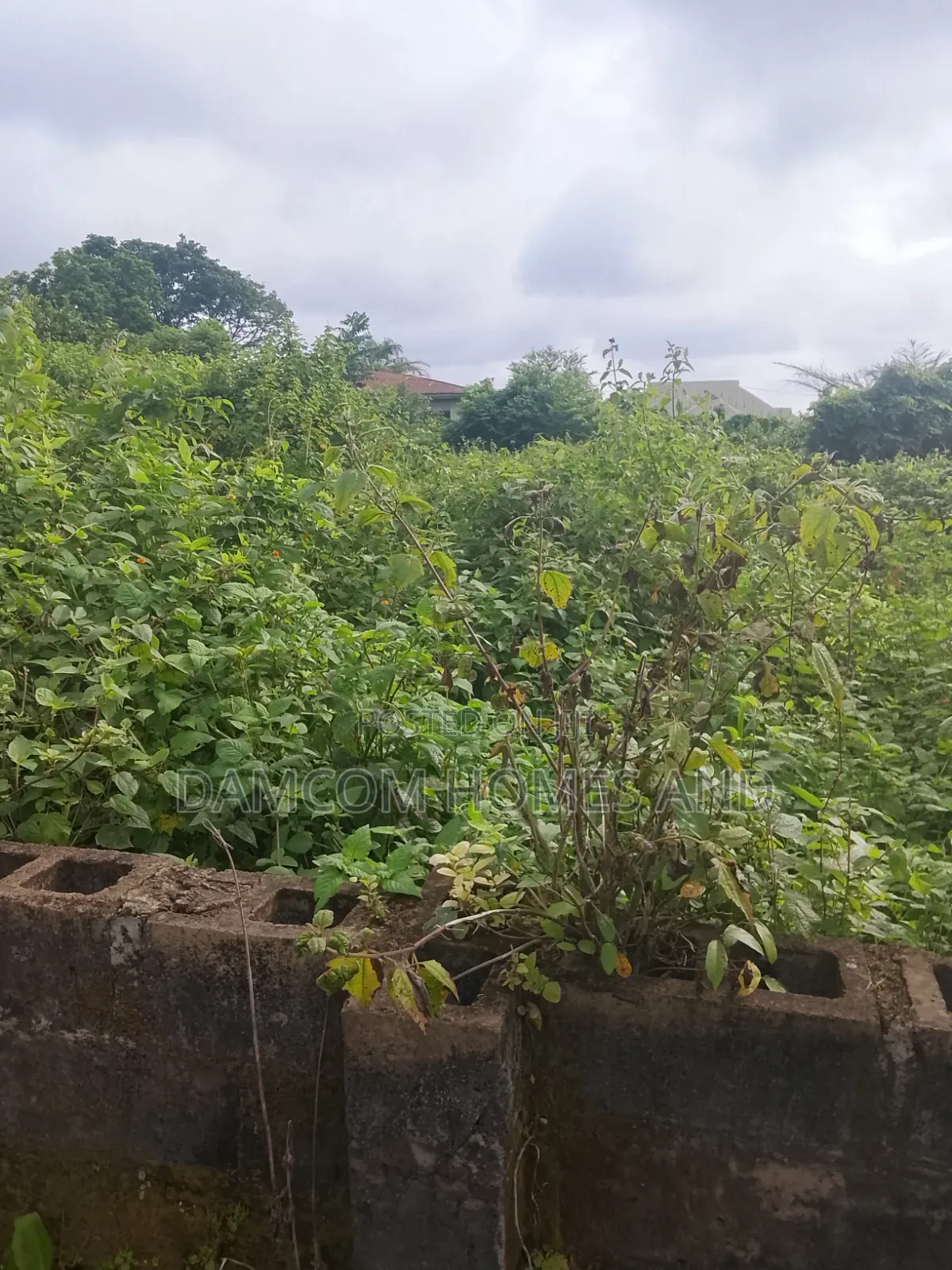 Fish Pond Land for Sale