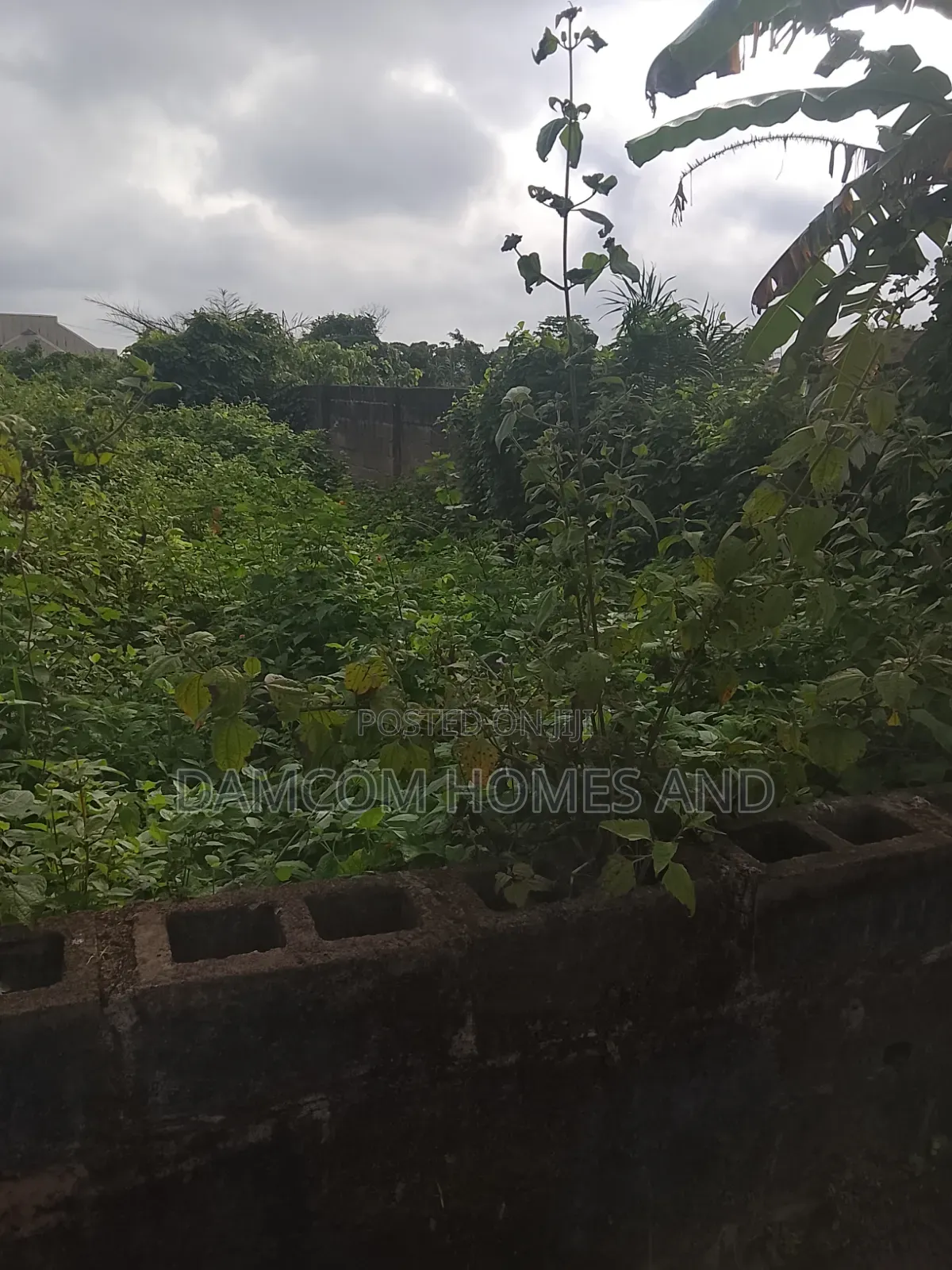Fish Pond Land for Sale