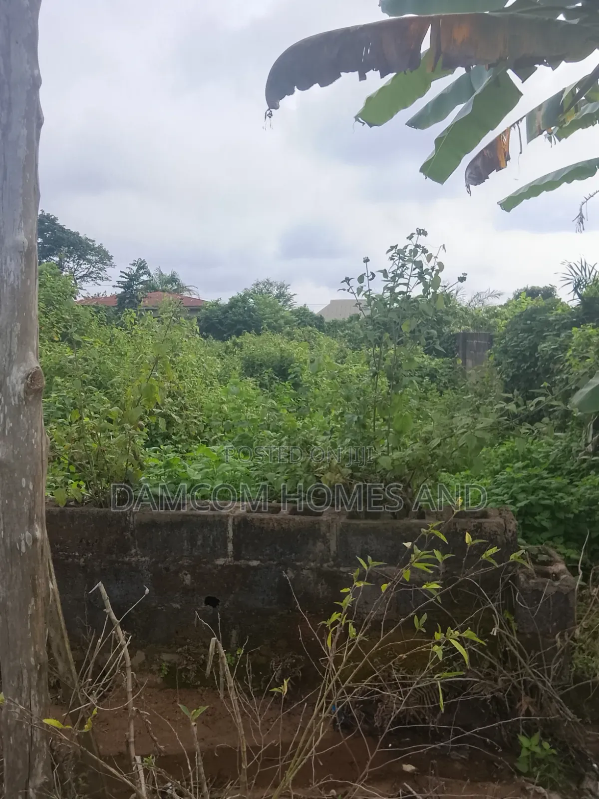 Fish Pond Land for Sale
