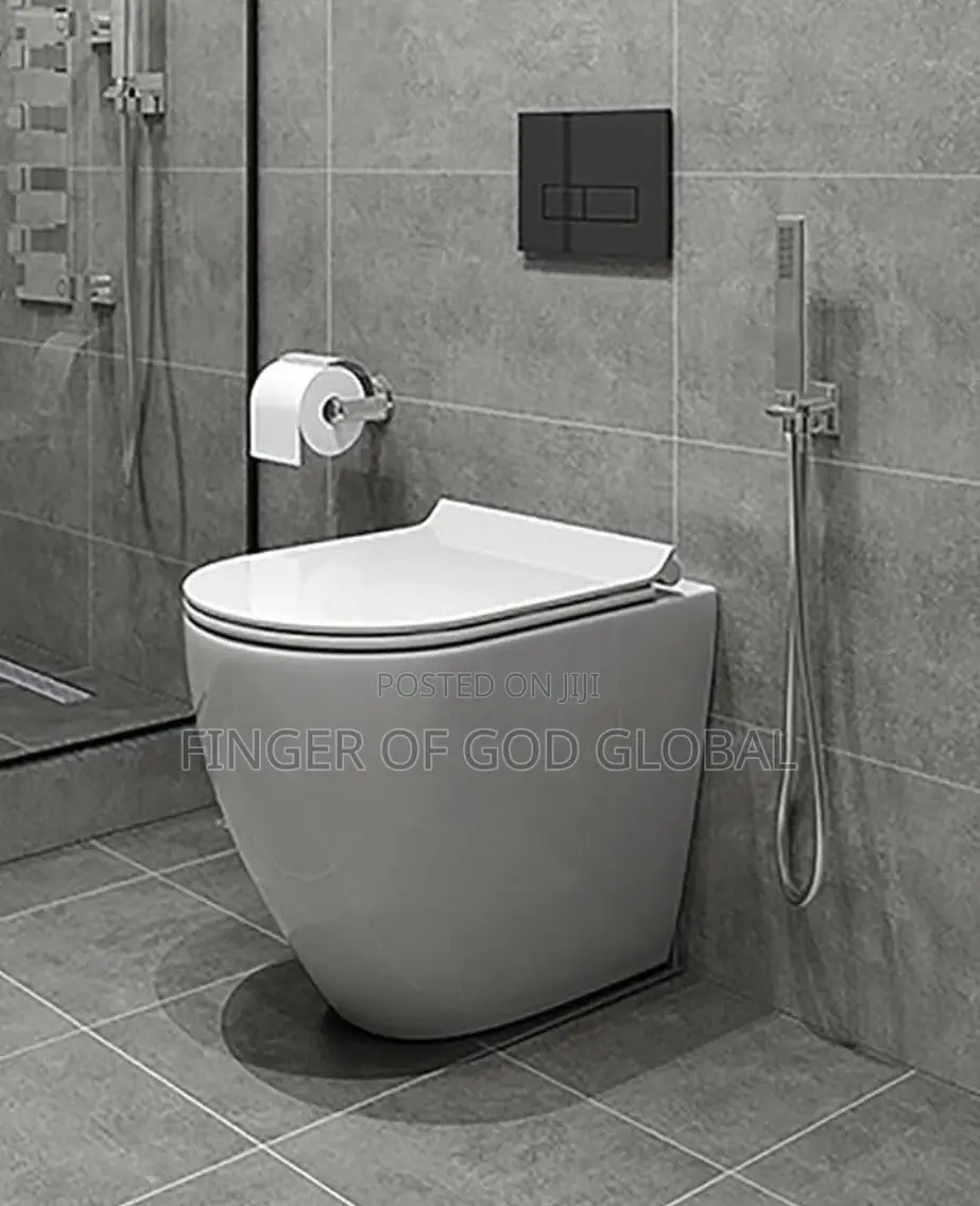 Modern One-Piece Toilet With Bidet Spray