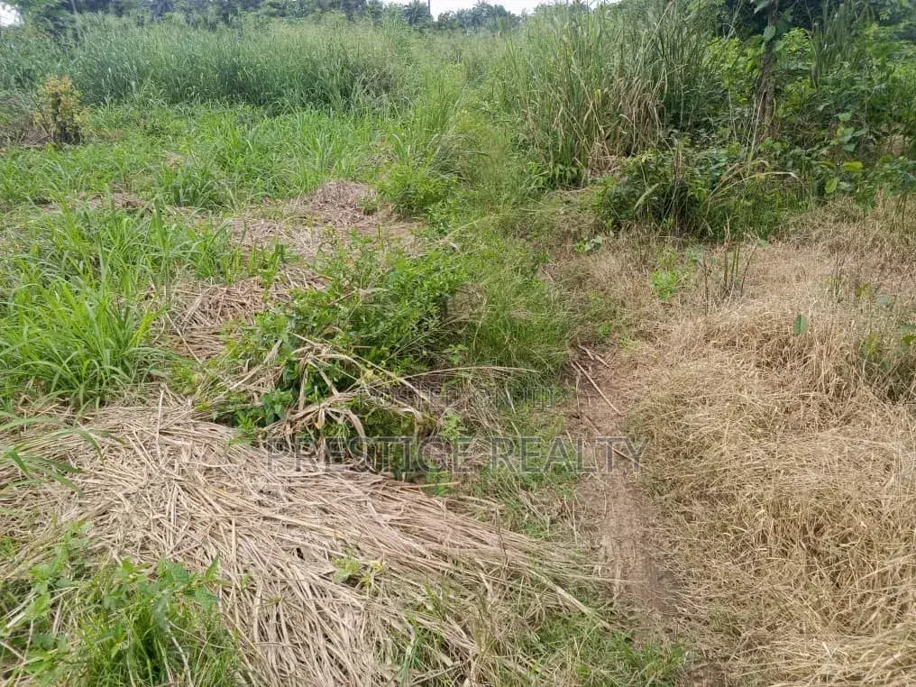 500 Acres of Farm Land for Sale in Ibadan, Oyo State