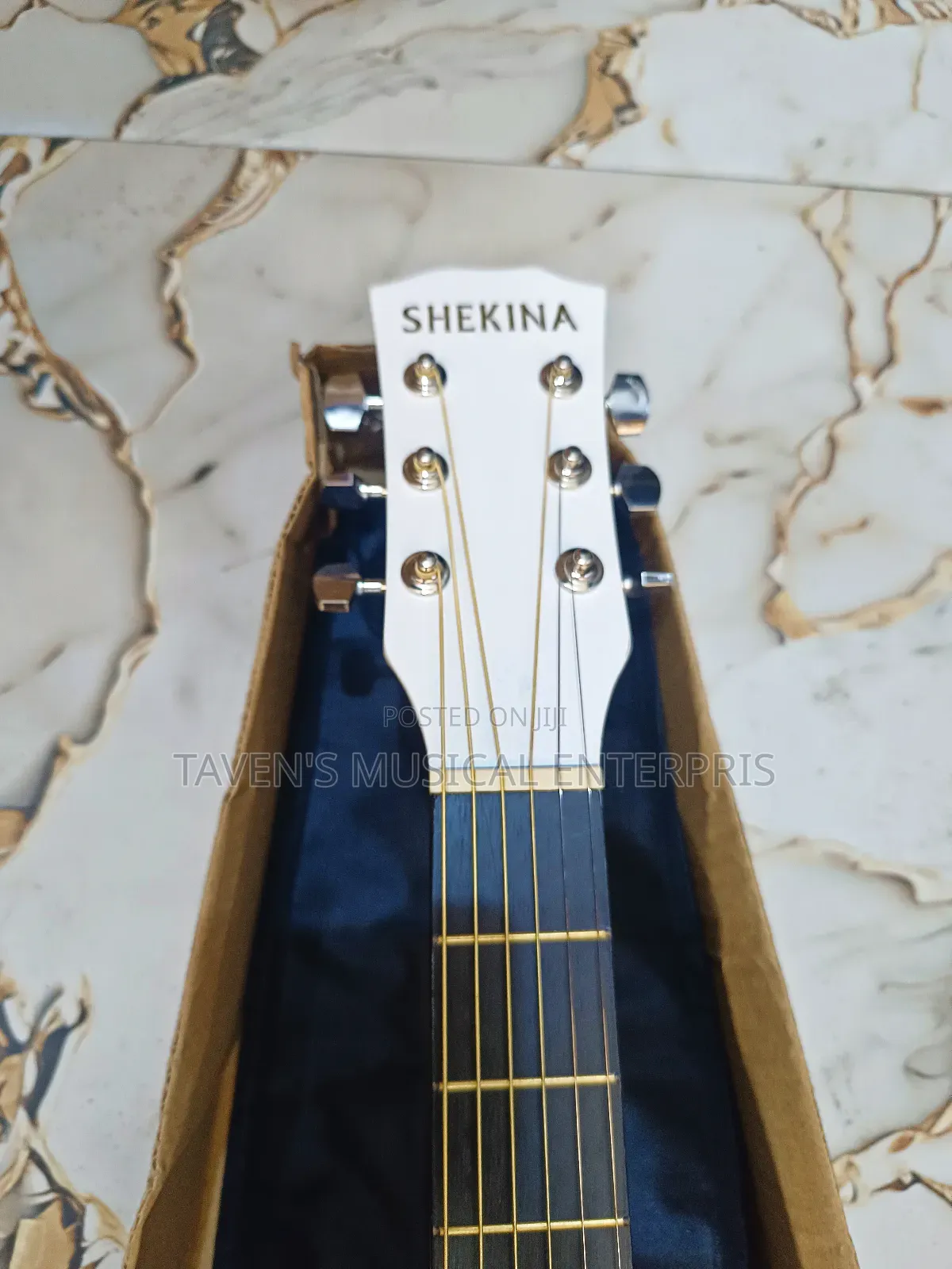 Shekina Acoustic Guitar