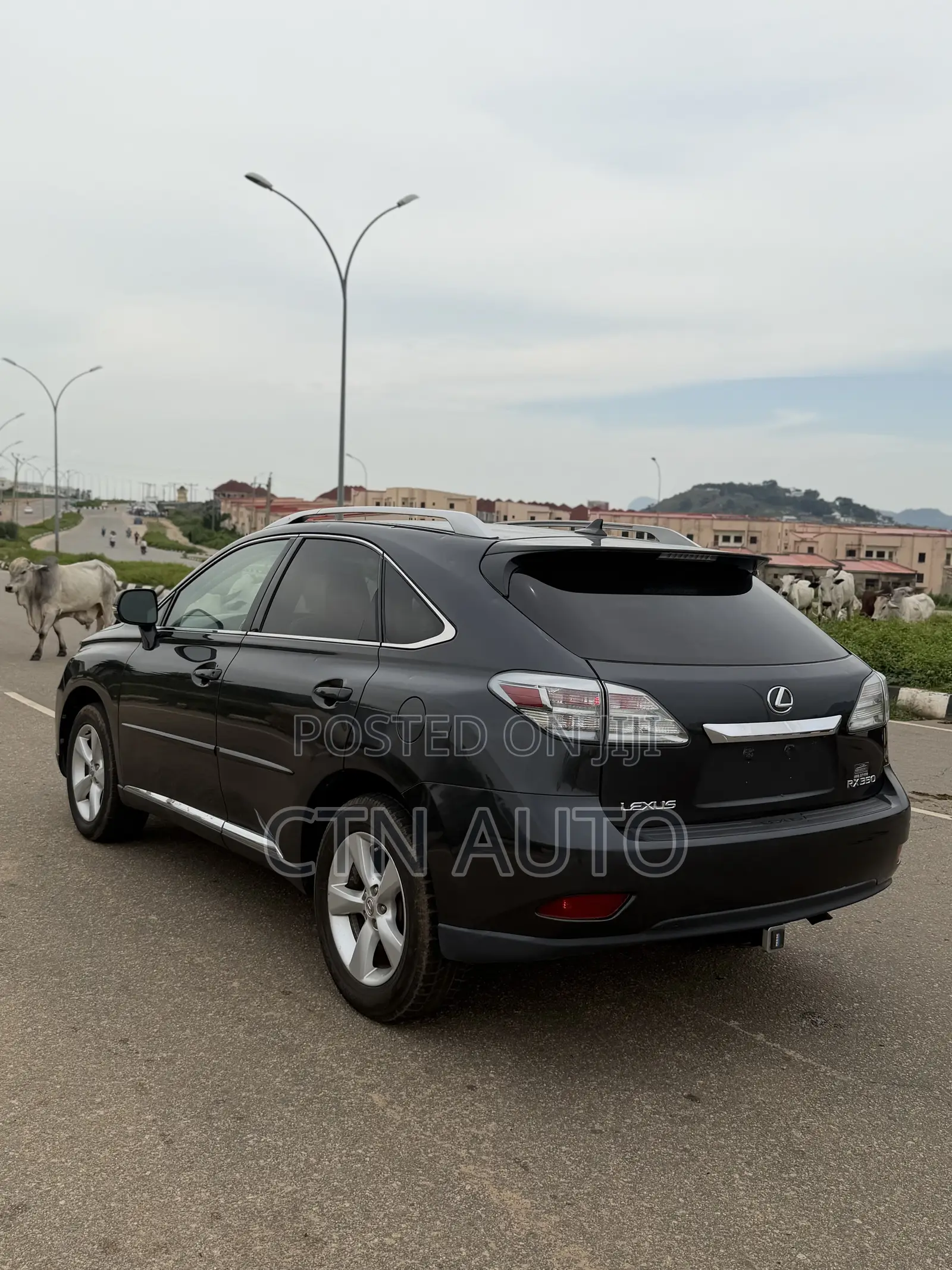Lexus RX 350 2010 Gray