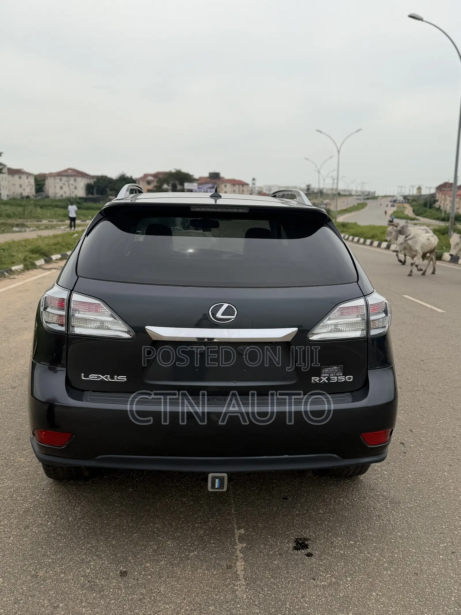 Lexus RX 350 2010 Gray