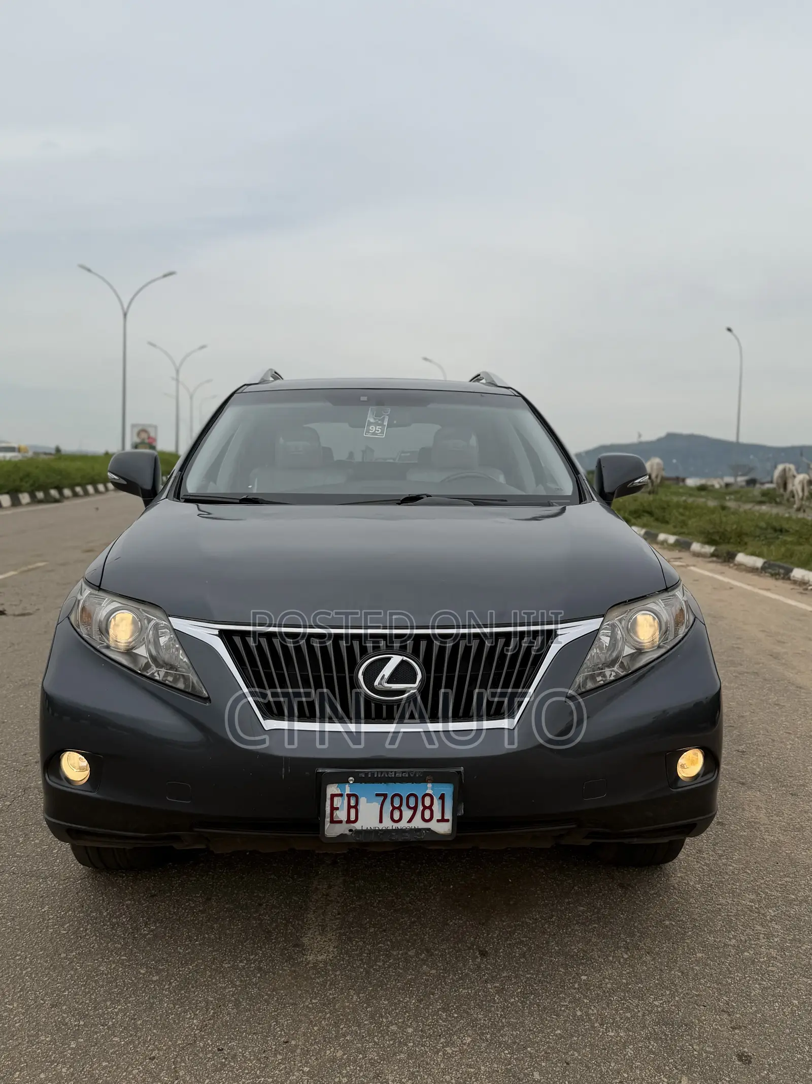 Lexus RX 350 2010 Gray