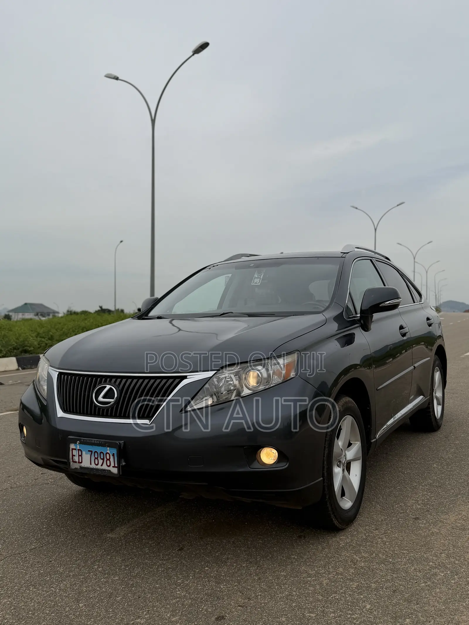 Lexus RX 350 2010 Gray