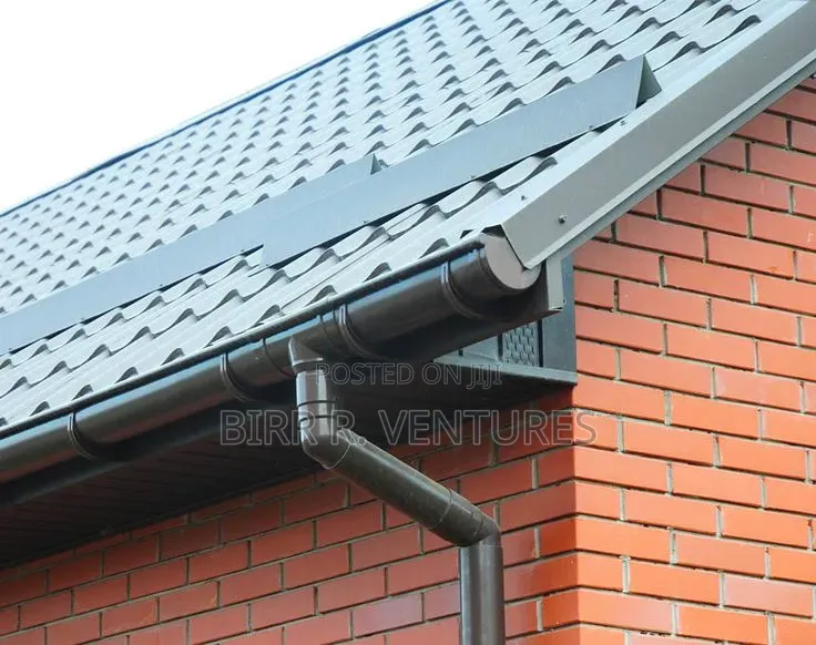 Roof Water Gutter Services