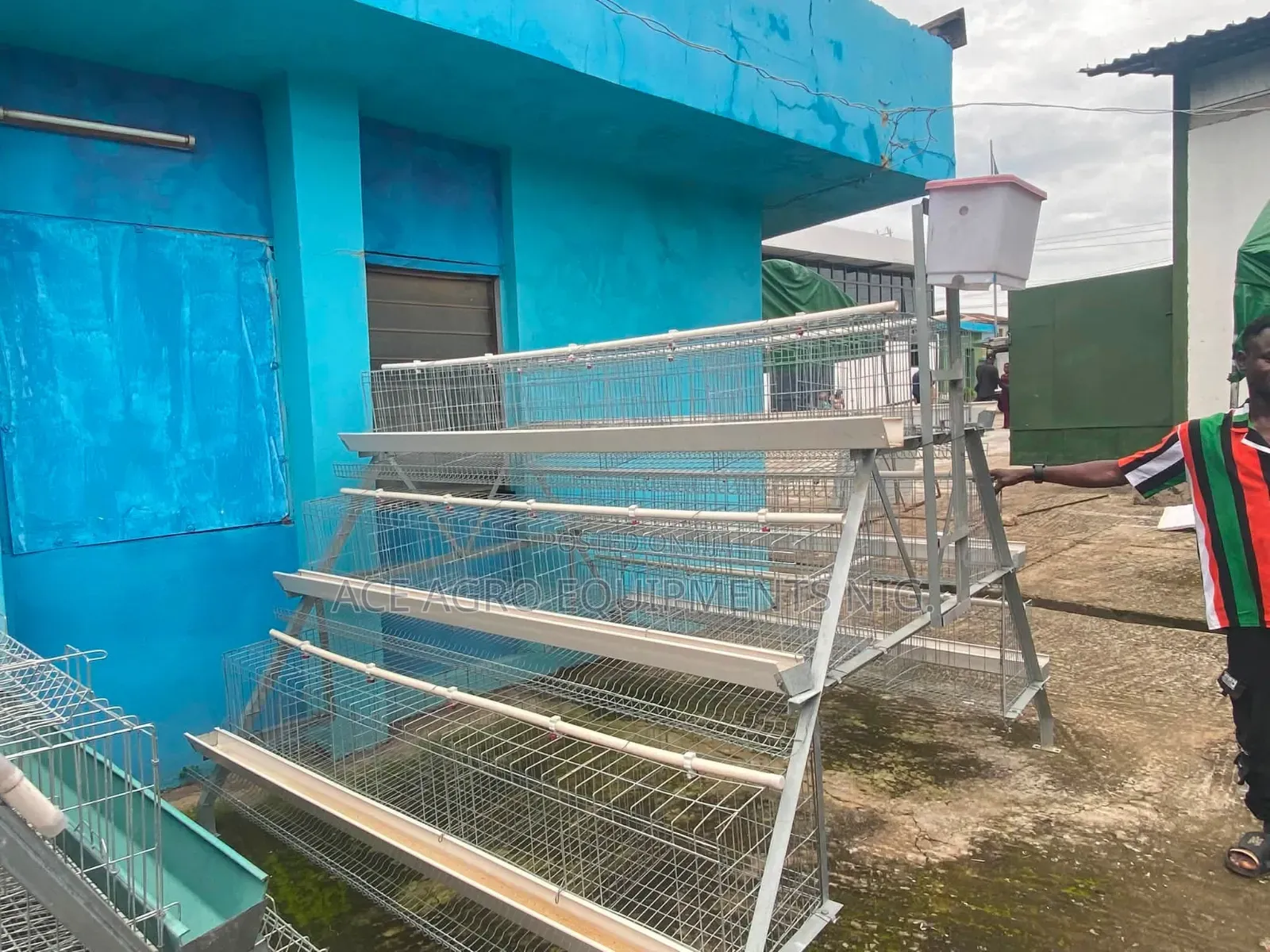 Hot Dip Galvanised Battery Cage for Layers
