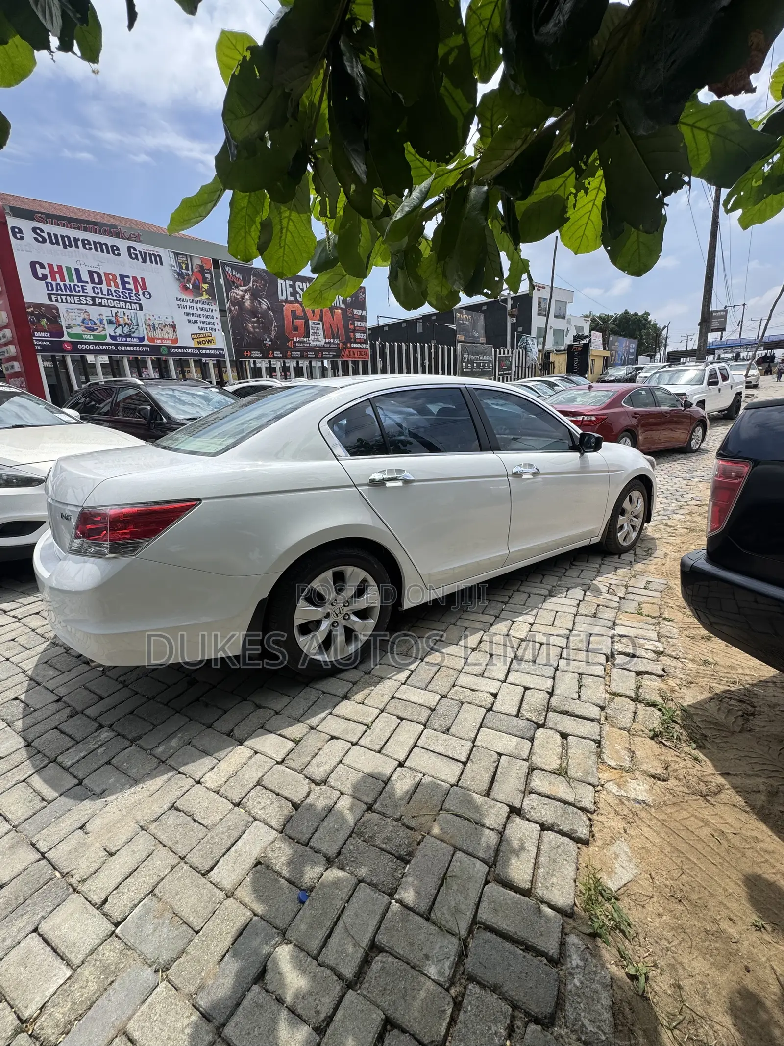 Honda Accord Sedan EX-L V-6 2011 White