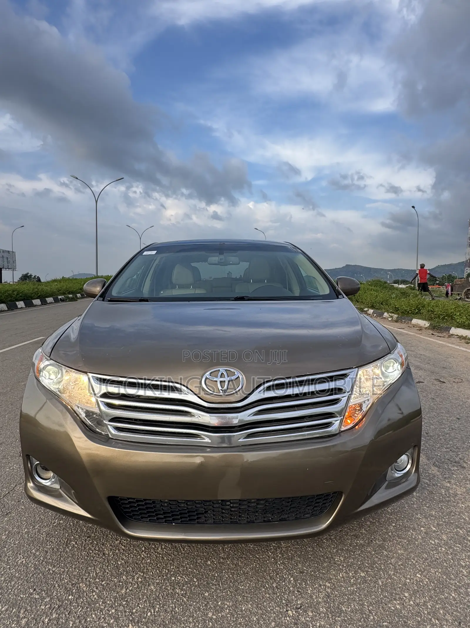 Toyota Venza Limited 2010 Gray