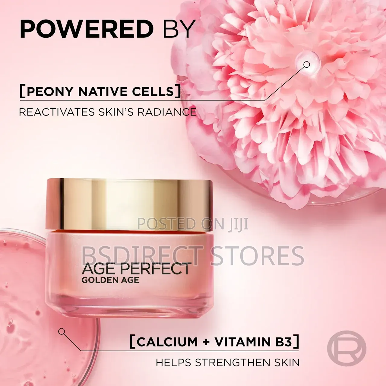 Loreal Age Perfect Rosy Reveal Skin Day Cream + Night Cream