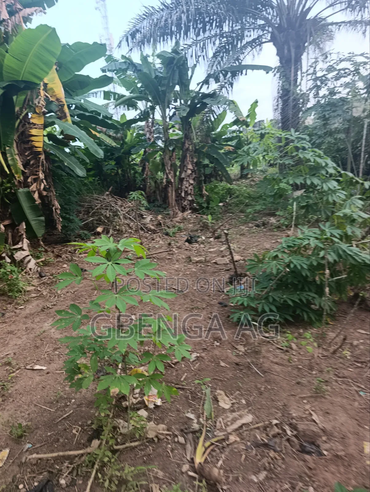 3 Plots of Land for Sale at Ipaja Lagos