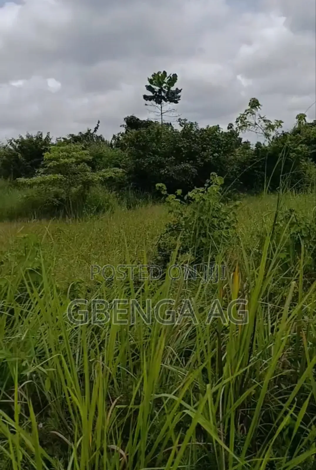223 Acres of Land Facing Lagos-Ibadan Expressway Opposite NNPC