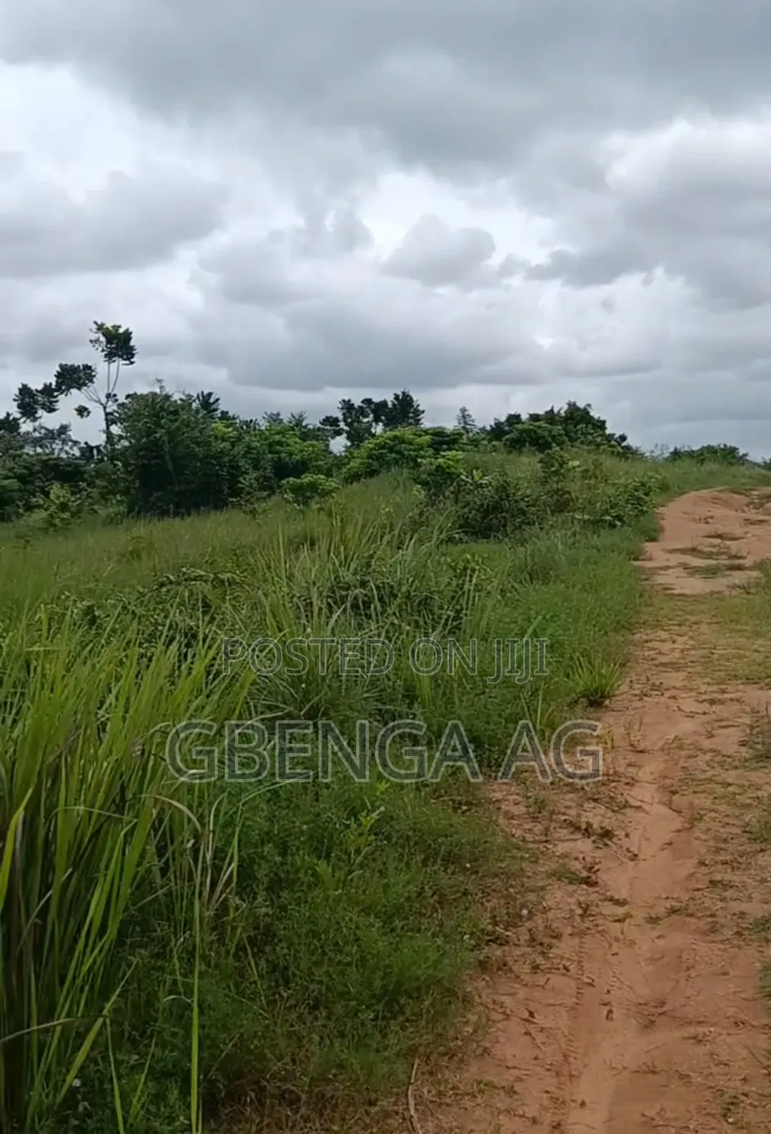 223 Acres of Land Facing Lagos-Ibadan Expressway Opposite NNPC