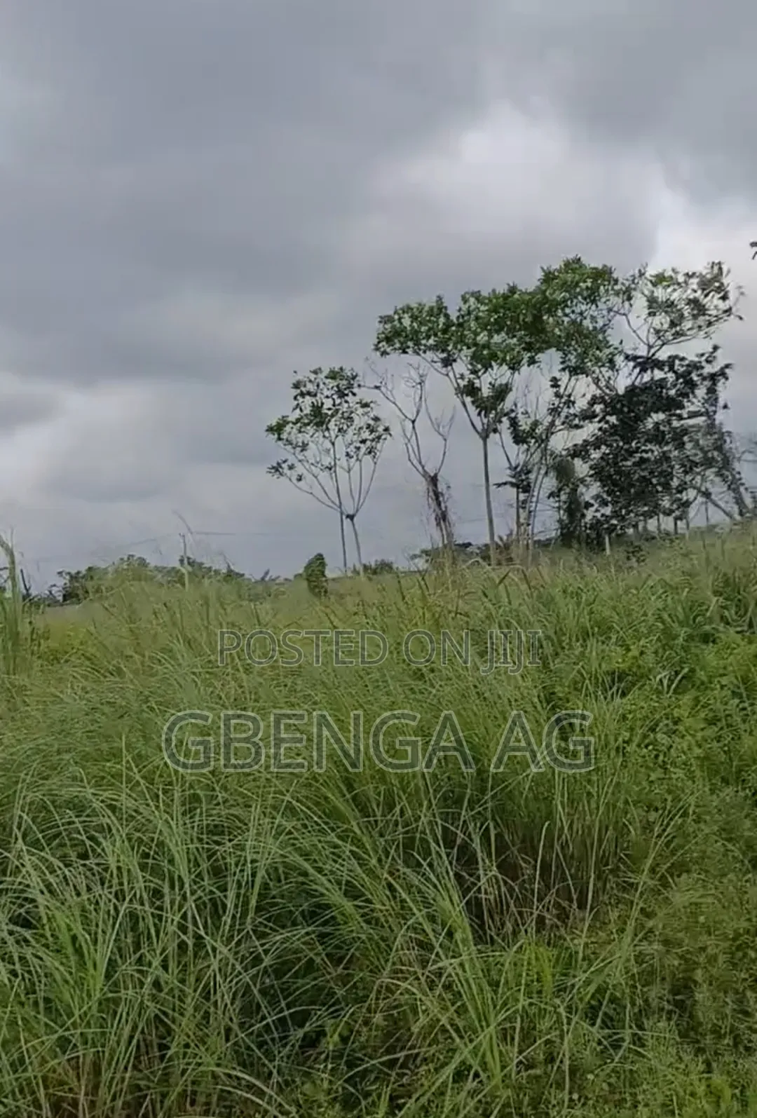53 Acres of Land With 3 Warehouses at Sagamu-Ore Road