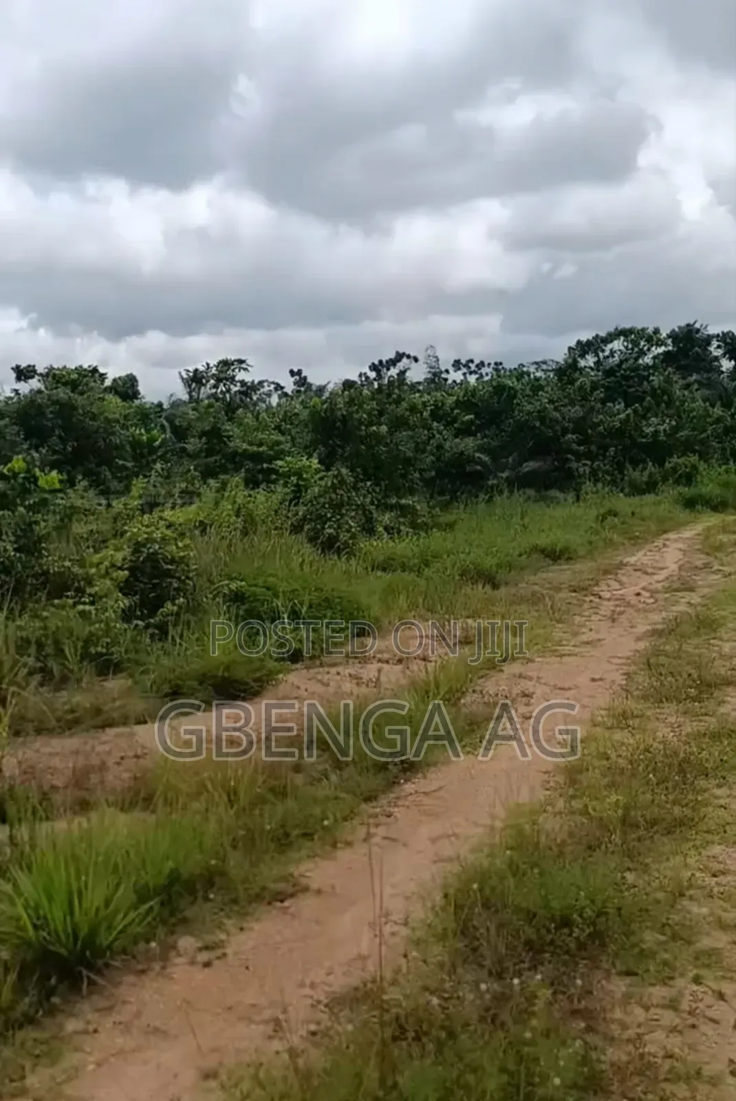 110 Acres of Land Opposite Bigi Cola Factory Before Ijebu Ode