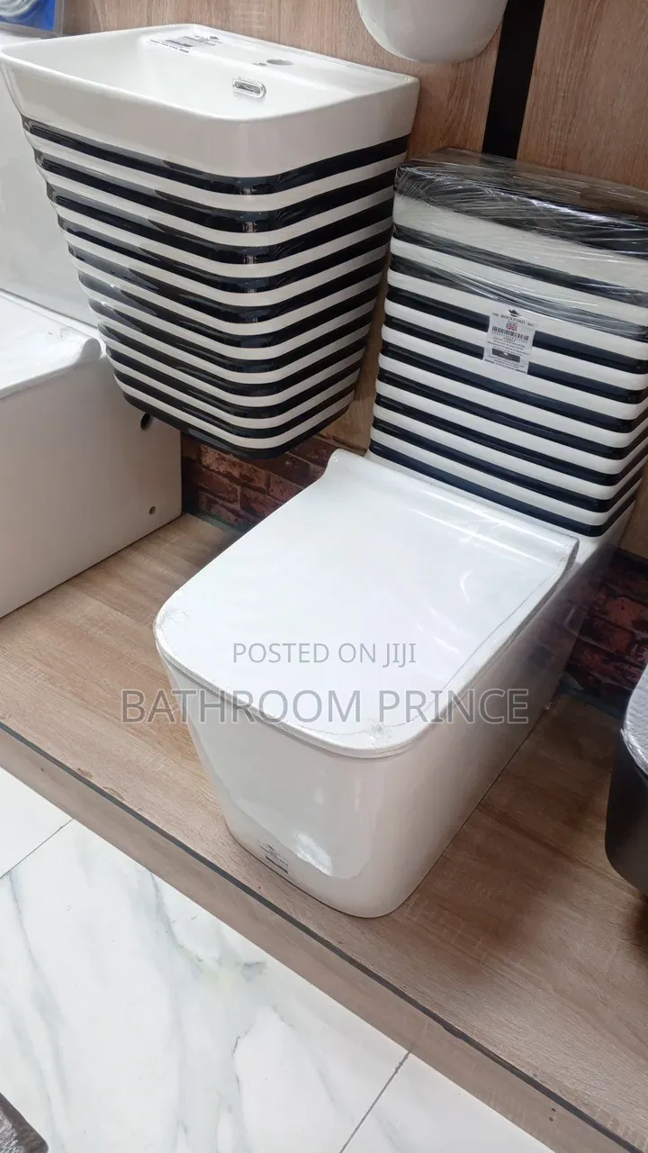 White and Black Line Water Closet With Wall Hung Basin