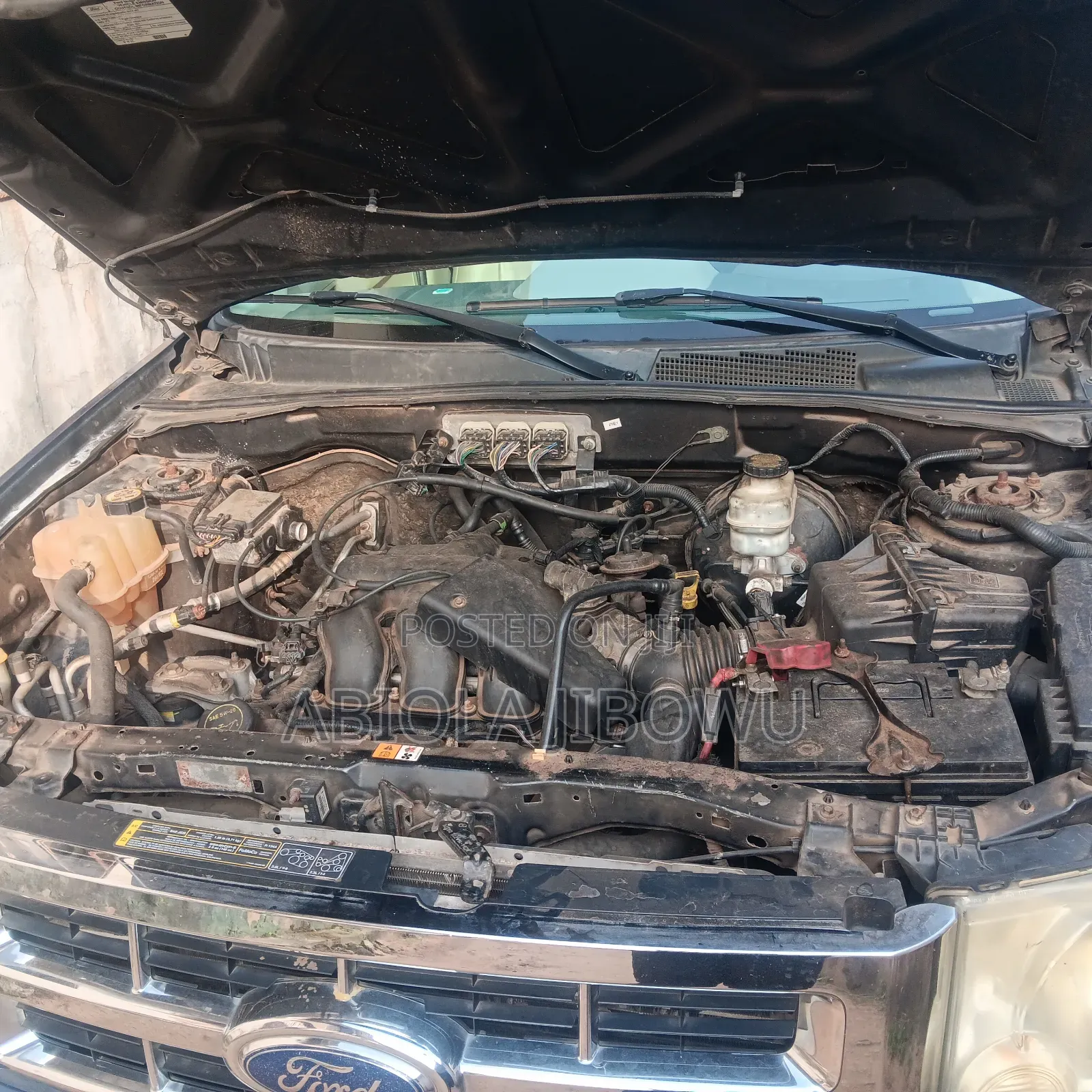 Ford Escape 2008 Blue