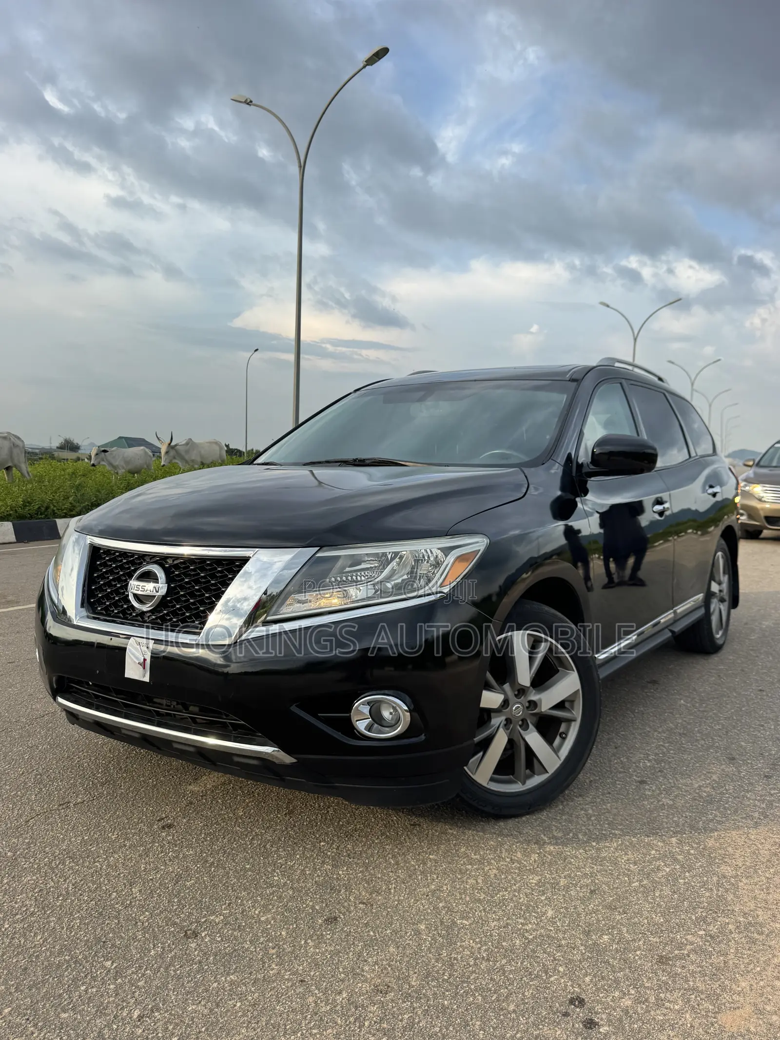 Nissan Pathfinder Platinum 4dr SUV 4WD (3.5L 6cyl CVT) 2015 Gray