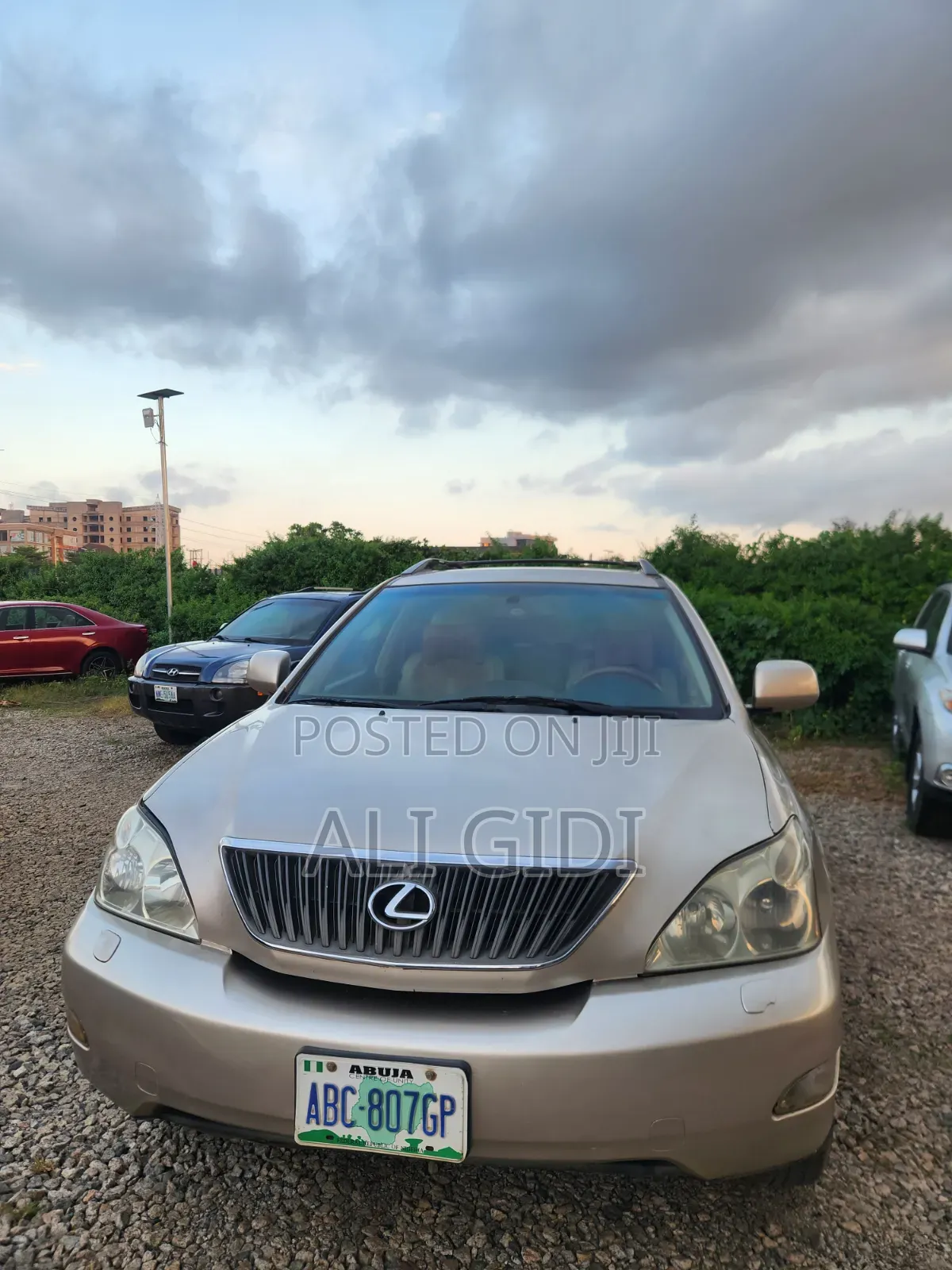 Lexus RX 330 2006 Gold