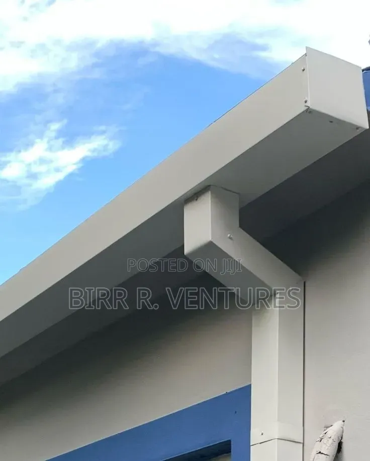 Box Gutter Roofing Drainage