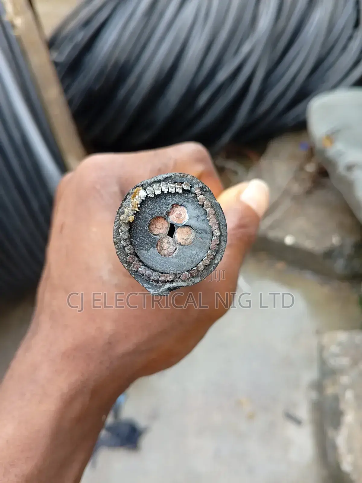 10mm 4core Coleman Armored Cable