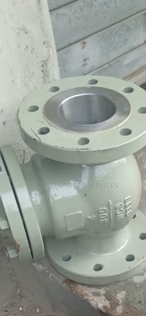 4"x300 WCB Check Valve