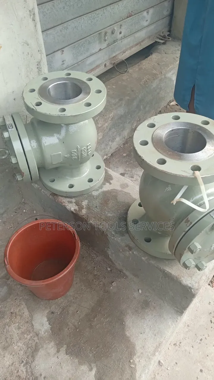 4"x300 WCB Check Valve