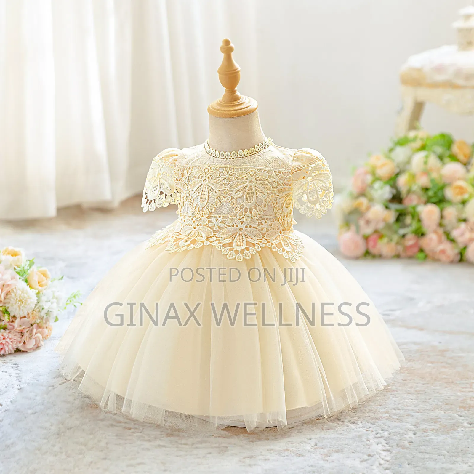 Baby Girls Elegant Lace Party Dress and Christening Gown (3-12 Months)