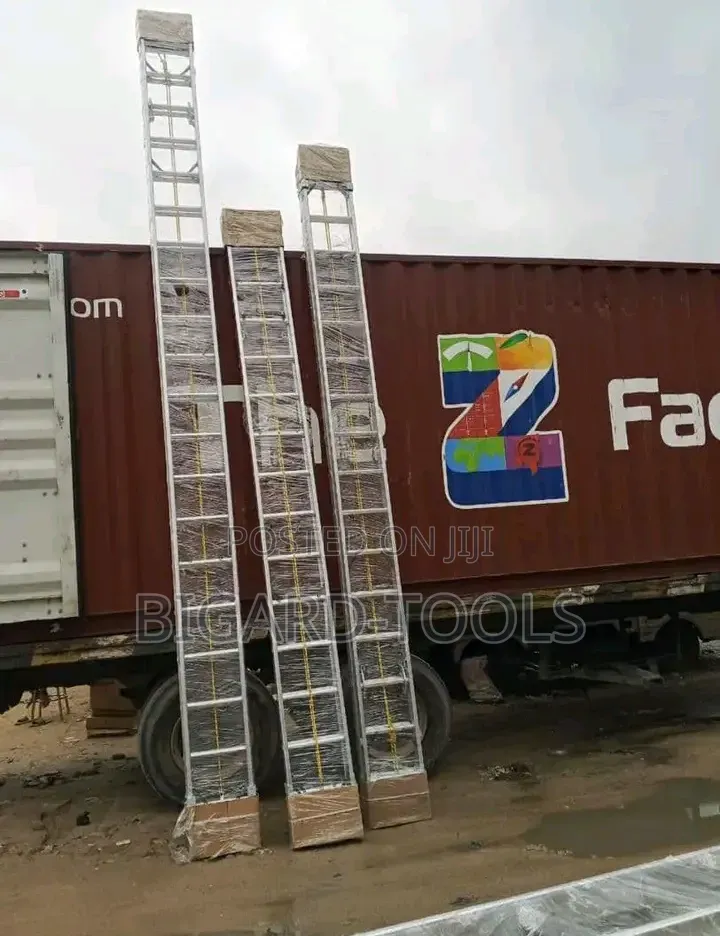 20by2 Aluminium Ladder