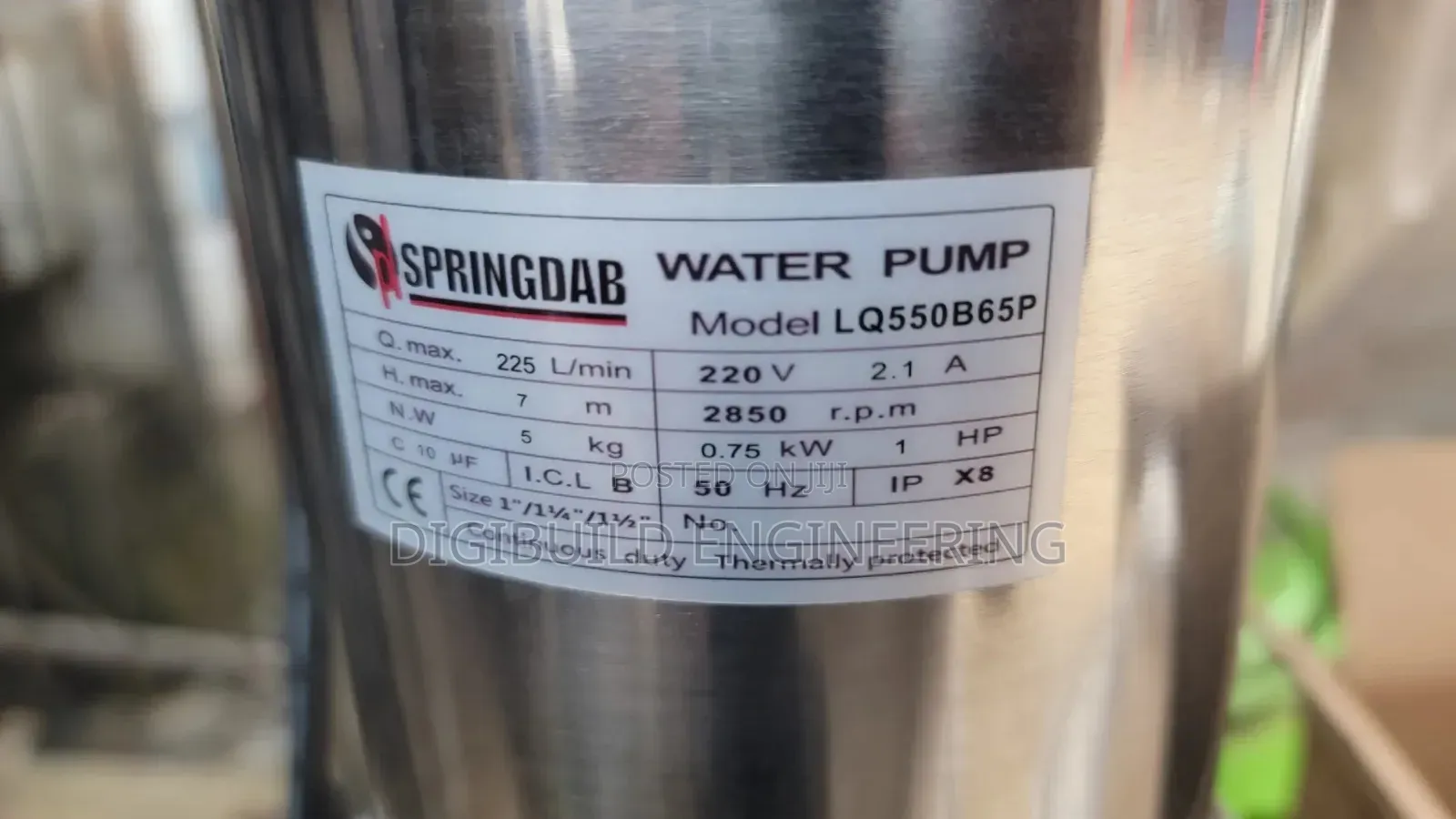 1hp Springdab Stainless Sewage Pump